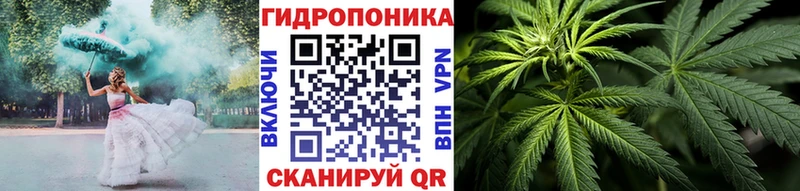 Сколько стоит Кемь Альфа ПВП  Кокаин  ГЕРОИН  МАРИХУАНА  ГАШИШ  hydra рабочий сайт  Меф мяу мяу 