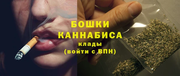 спайс Покачи