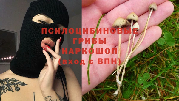 ECSTASY Покров