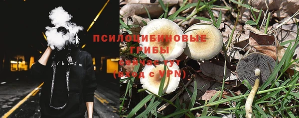 ECSTASY Покров
