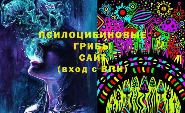 спайс Покачи
