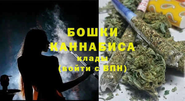 спайс Покачи
