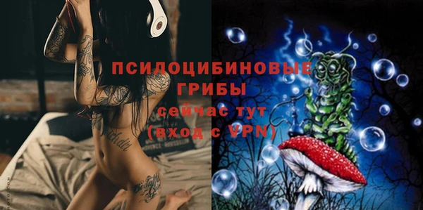 спайс Покачи