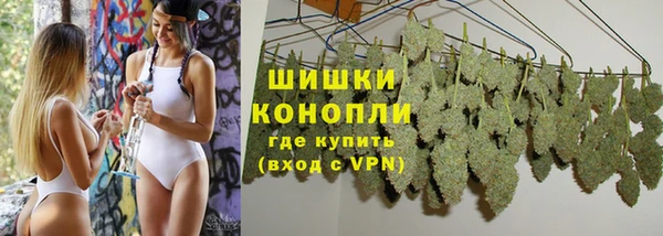 спайс Покачи