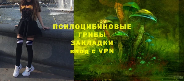 ECSTASY Покров