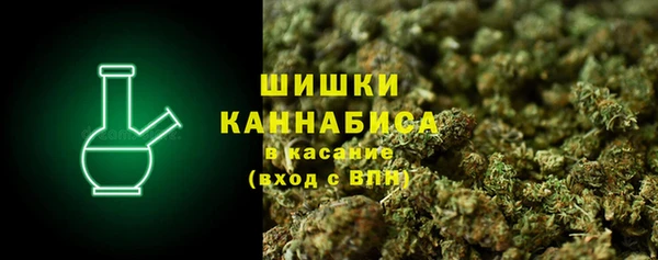 спайс Покачи