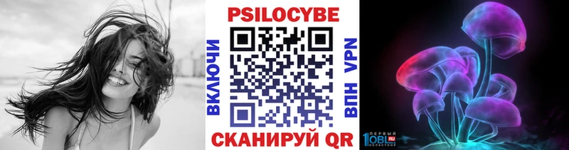 где найти Кемь Псилоцибиновые грибы Cubensis